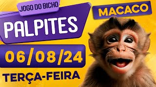 PALPITE DO DIA 06/08/2024 - JOGO DO BICHO 🍀 TODAS AS LOTERIAS 🍀