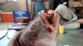 fish //फिश मार्केट कराची//Fish Market Karachi