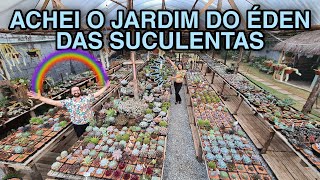 ENCONTRAMOS um JARDIM de SUCULENTAS RARAS no MEIO da CIDADE