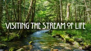 Visiting the Stream of Life in the Grove (Guided Meditation)