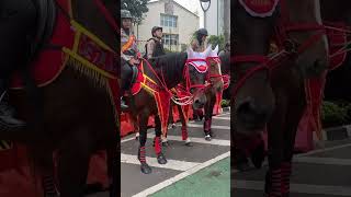 KUDA POLISI nya BESAR sekali!!!!! 😱🏇🐴 #shortvideo #shortsviral #kuda #police #horse #polisi