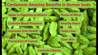 Why Cardamom Is Necessary For Health ?