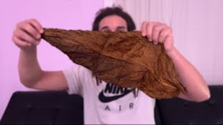 FIRST TIME ROLLING A FRONTO