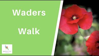 Waders Walk