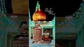 Haram Hazrat Fatima masooma Qum #viralvideo #shortvideo #shortsfeed #ytshorts #shortsyoutube #intags