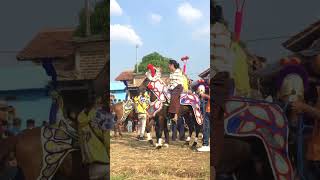 Kuda joget termahal di bandung #bagjatv #shorts #kudarenggong