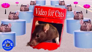 Mouse of Cat Tv, Have Fun with Piano Music and Colorful Tubes | Paul Bardor