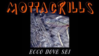 ECCO DOVE SEI (Mottagrills)