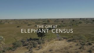 Great Elephant Census: Counting Africa's Elephants