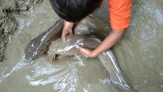 Big fish catching a small boy by The kenal