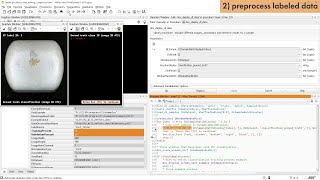 Classification 1: Introduction and Preparation of the Dataset – HALCON Deep Learning