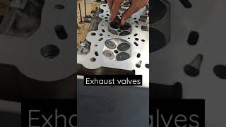 exhaust valves