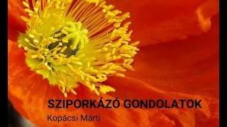 Sziporkázó gondolatok