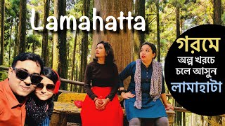 Lamahatta Darjeeling Tour Plan and Trekking | Triveni tour | travel tips