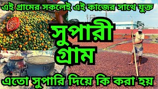 সুপারি গ্রাম || এতো সুপুরি দিয়ে কি করা হয় || এই পাড়ায় সারা বছর সুপারির কাজহয়| Betel nut || areca nut