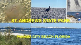 St Andrews State Park| Panama City Beach | Florida| 4K |Jelly Fish at Sea | Irene Baby & Olivia Rose