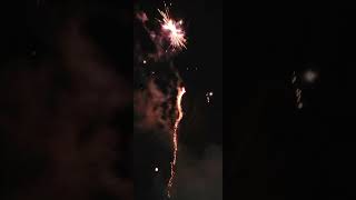 Parrots Prattle 36 Shot 500 Gram Firework by Brothers