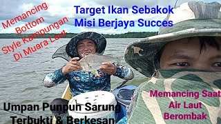 Fishing Grunt Fish2 Coast & Rocks Memancing Ikan Di Pesisir Pantai & Batu...