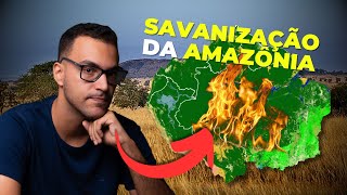 Amazônia: TEM SALVAÇÃO?