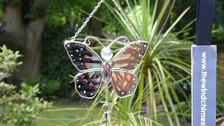 Magenta and Black Butterfly