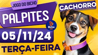 PALPITE DO DIA 05/11/2024 - JOGO DO BICHO 🍀 TODAS AS LOTERIAS 🍀