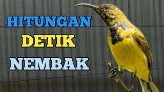 🔴 PANCINGAN SOGON AMPUH HANYA HITUNGAN DETIK LANGSUNG NYAUT