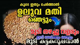 ഉലുവ ഇനി ഞെട്ടിക്കും /കരിപോലെ പെട്ടന്ന് വളരാൻ /uluva care hair /poppy vlogs /malayalam