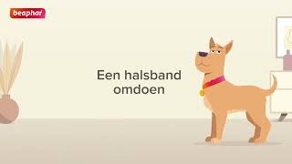 Hoe doe ik een Beaphar band om bij mijn hond?