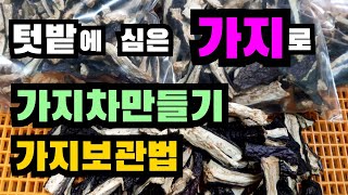 텃밭에 심은 가지로 가지차만들기, 가지보관법, 가지효능 알아볼게요