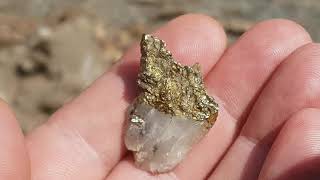 Nugget from King Solomon's Gold Mine in Northern Canada ?