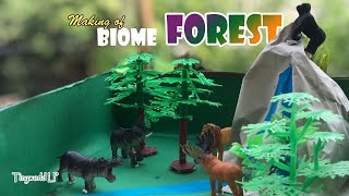 How to build a Forest | Jungle | School Project with Mountain and Animals