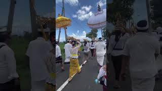 Daily Vlog Diah | Balinese Woman | Bali Island