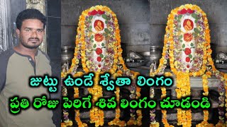 జుట్టు ఉండి ప్రతి రోజు పెరిగే శ్వేత శివ లింగం చూడండి.!