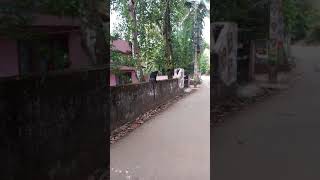 കാടുവിട്ടു കുരങ്ങൻ നാട്ടിൽ ഇറങ്ങി