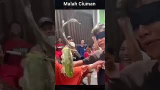 Lomba ambil koin pakai mulut malah ciuman