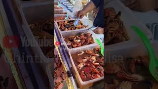 Berbagai Macam Seafood 10 Ribuan Ada Kepiting Juga