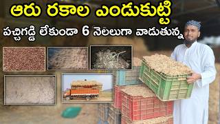 ఎండు మేత Dry fodder for sheep goats dairy farms@MalleshAdla