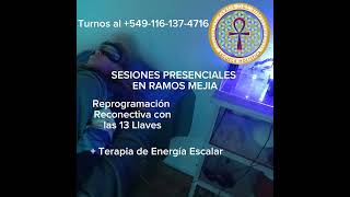 Reprogramación Reconectiva con las 13 Llaves. Terapia Canalizada por Leila Frascino Arista