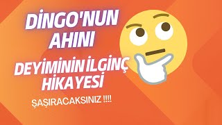 DİNGO' NUN AHIRI | DEYİMİNİN HİKAYESİ | İLGİNÇ | ŞAŞIRACAKSINIZ!