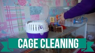 Cage Cleaning | TIMELAPSE | Hamster & Skinny Pigs