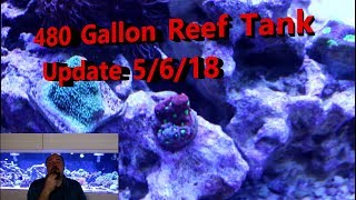 480 Gallon Reef Tank Update 5/6/18