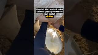 süt bal ve yumurta çok çabuk nazar alır Allah nazardan saklasın inşallah