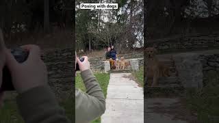 Posing with dogs, getting them to look right at you!