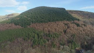 8374127 - Coed Pant Glas & Bwlch Y Garnedd