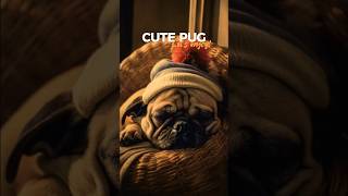 CUTE PUG | #shorts #pug #puppy #dog #trending #viral