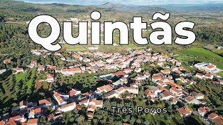 Quintãs