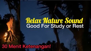 Relax Nature Sound Rain Forest Bird For Study and Sleep. Suara Alam Nyaman Buat Belajar & Istirahat