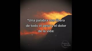 Una palabra nos libera de todo el peso y el dolor de la vida: esa palabra es amor 💘 Sófloces