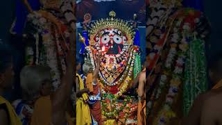 MAHA PANCHUKA EKADASI RE MAHAPRABHU NKA LAXMINARAYAN BESA RE SANDHYA ALATI DARSHAN