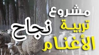 أسباب نجاح مشروع تربية وتسمين الأغنام والماعز..  الحلقة الأولى : التسويق..